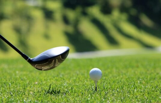 Dummer Golf Club - Golf Ball